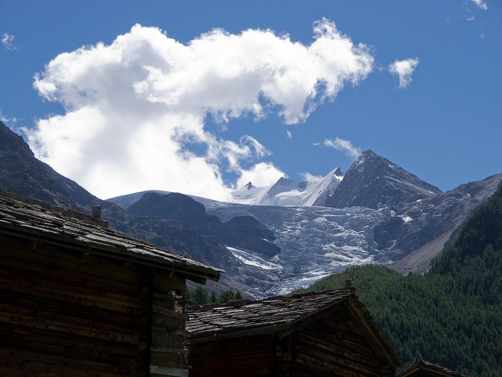 Chalet Soldanella Daire Grächen Dış mekan fotoğraf