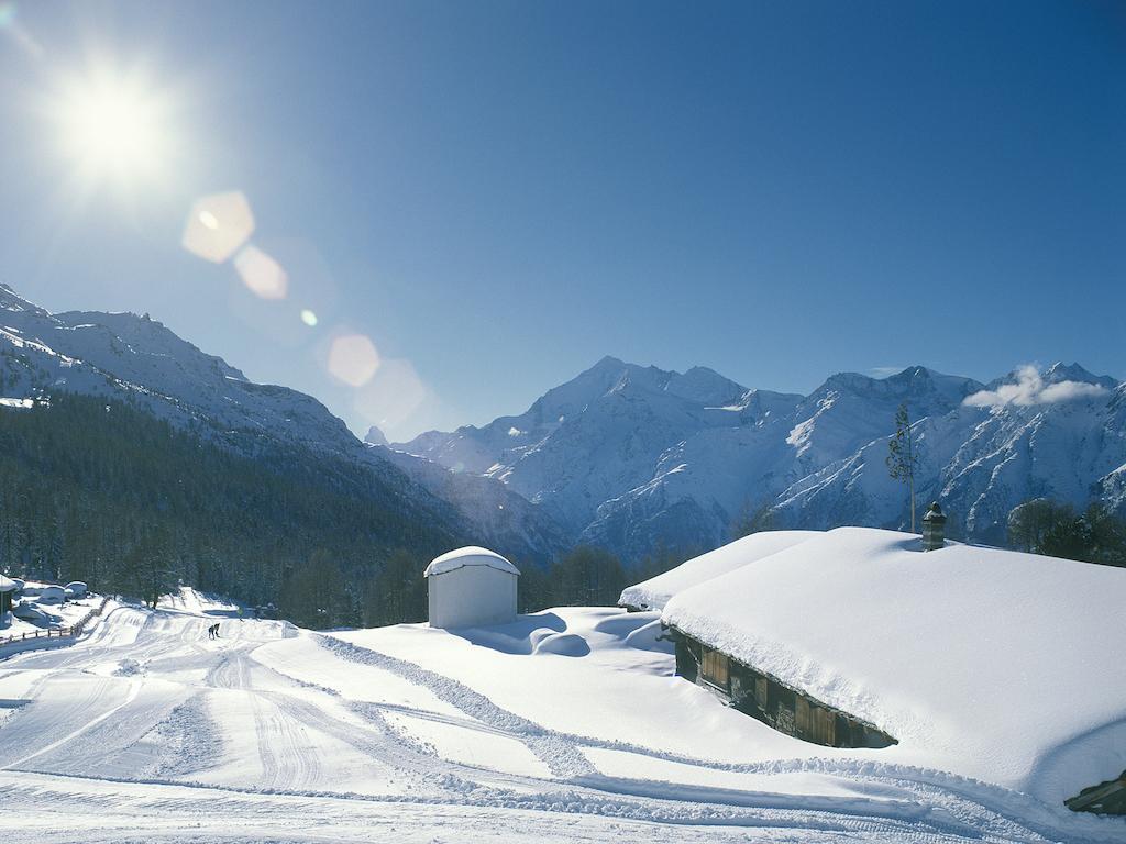 Chalet Soldanella Daire Grächen Dış mekan fotoğraf