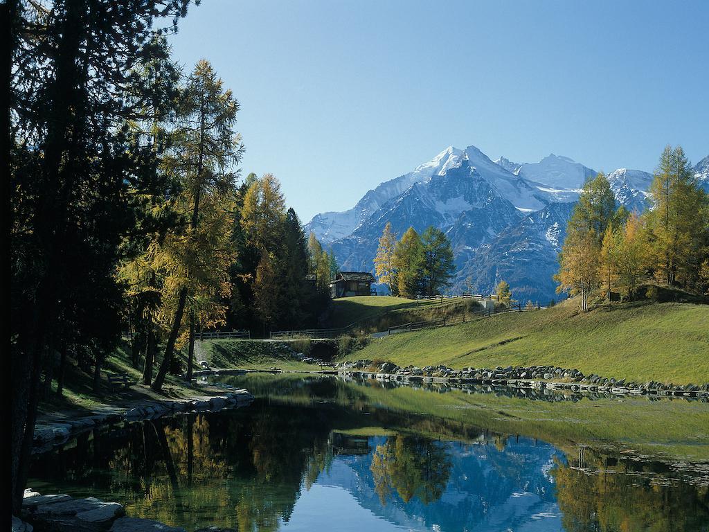 Chalet Soldanella Daire Grächen Dış mekan fotoğraf