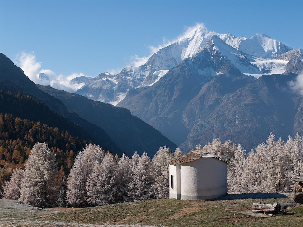 Chalet Soldanella Daire Grächen Dış mekan fotoğraf