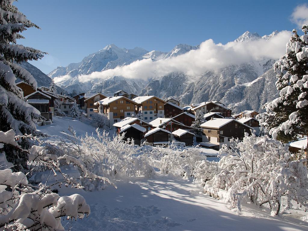 Chalet Soldanella Daire Grächen Dış mekan fotoğraf